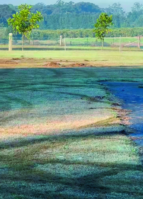 Vehicle tracks left across the field at Neill Park, Kulnura
