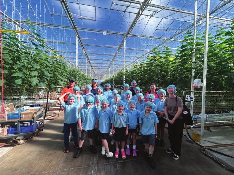 CMPS students in the Family Fresh Farms greenhouse