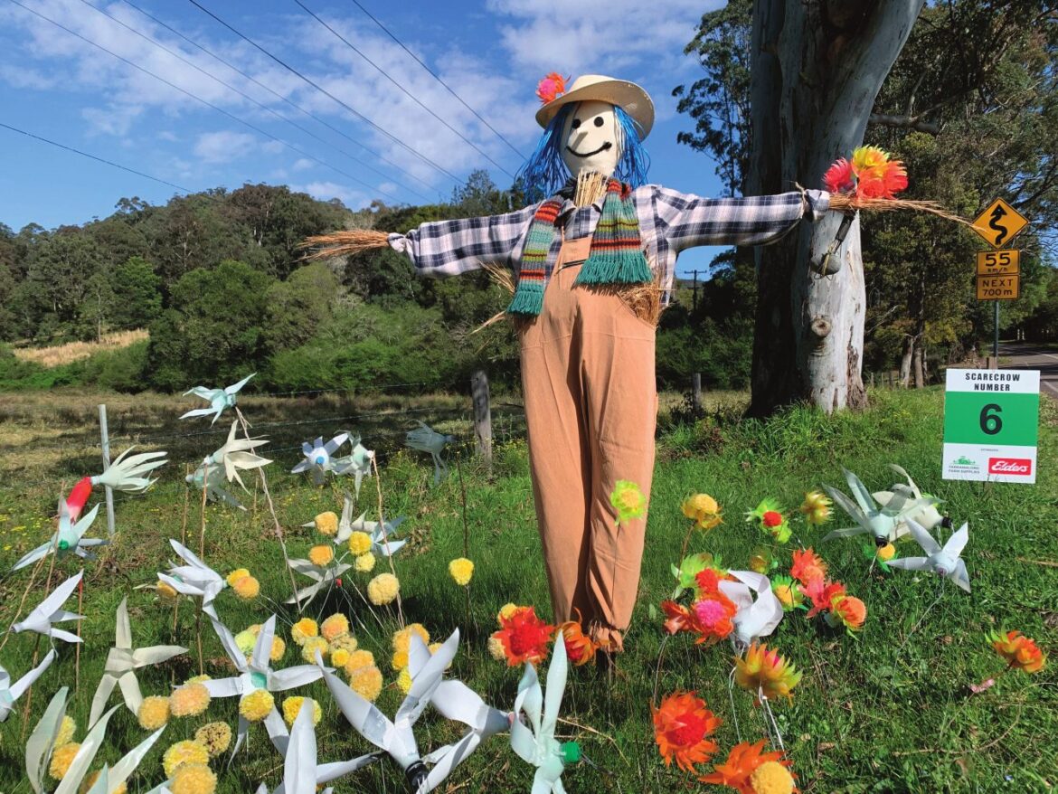 A Yarramalong Valley Scarecrow Competition entry